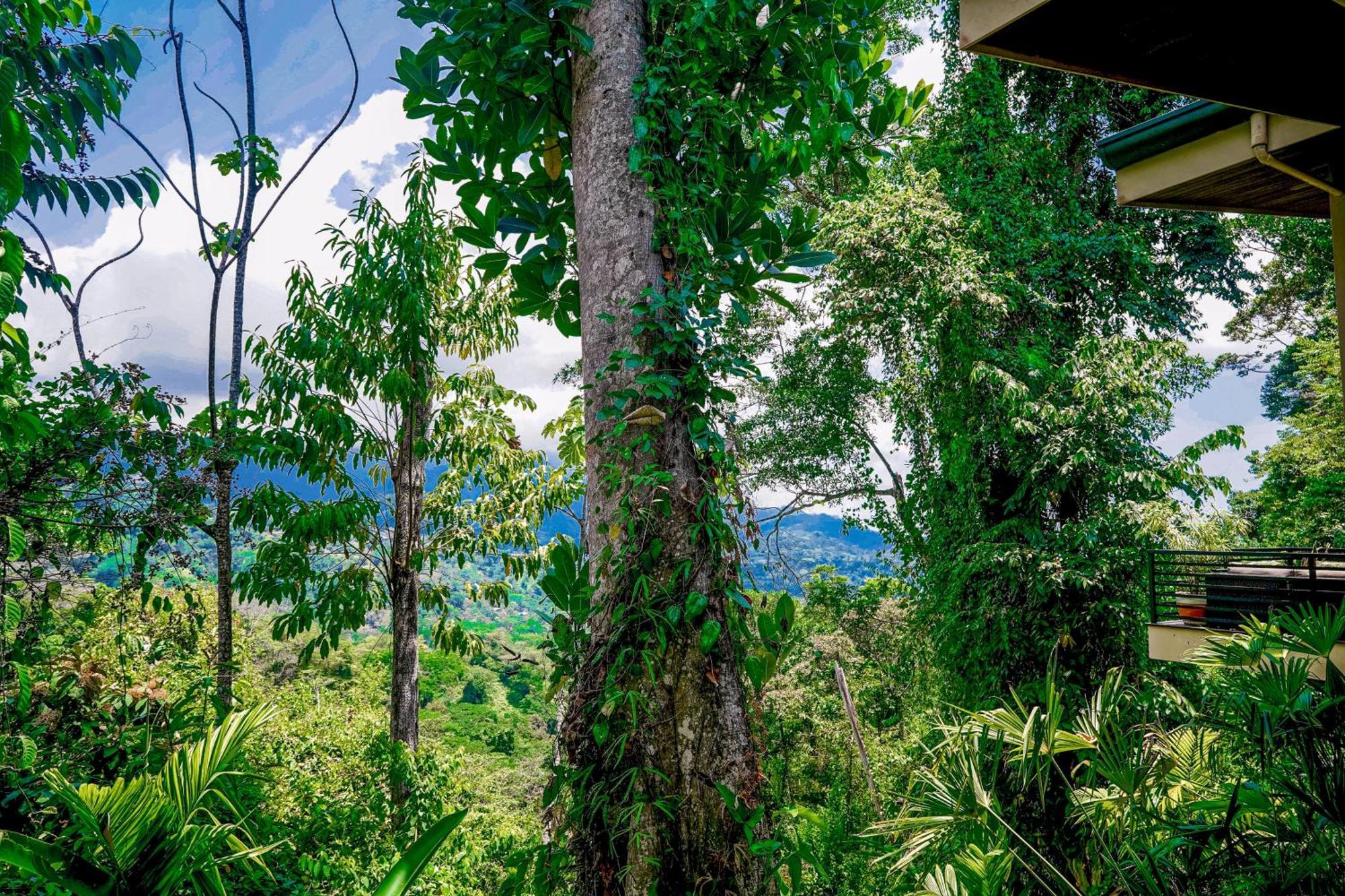 Casa Vista Verde Uvita Eksteriør bilde