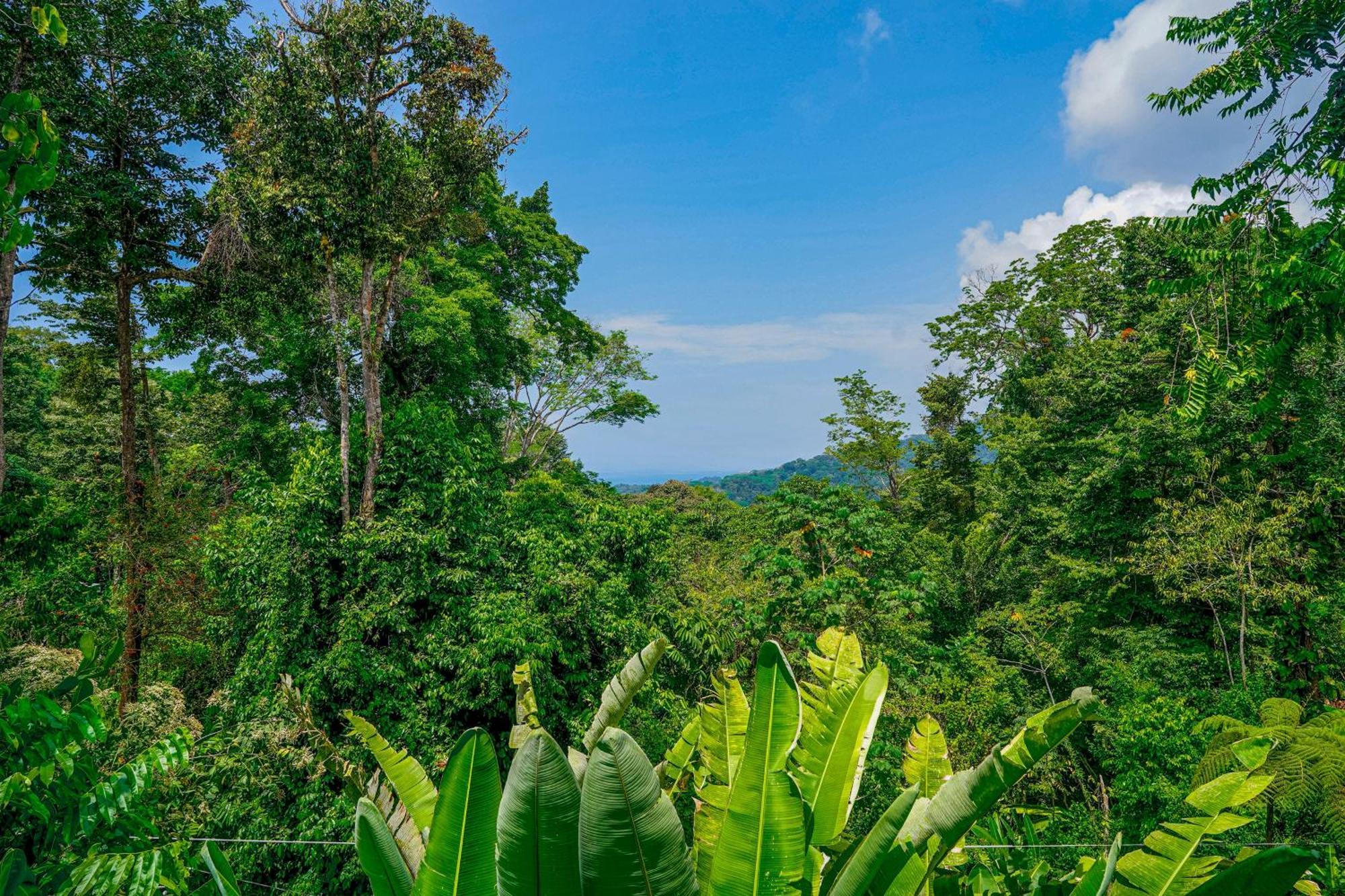 Casa Vista Verde Uvita Eksteriør bilde